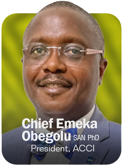Speaker - Chief Emeka Obegolu